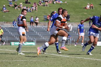 NSWCUP Rnd 1 - Newtown Jets / Sharks v WestsTigers - 2nd Half Action (Photo : steve montgomery / OurFootyTeam.com)