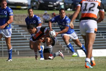 Pat Politoni get the Jets going forward in the 1st outing for the new Newtown Jets / Sharks partnership in this years NSW CUP (Photo : steve montgomery / OurFootyTeam.com) 
