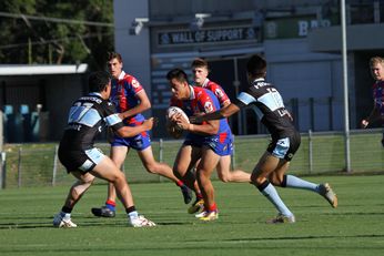 Cronulla SHARKS v Newcastle Knights SG Ball Cup Trial 2nd Half (Photo : steve monty / OurFootyTeam.com)