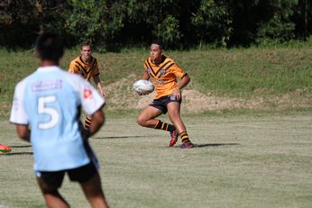 Balmain Tigers v Cronulla SHARKS Harold Matthews Cup Trial (Photo : Jason C / OurFootyTeam.com) 