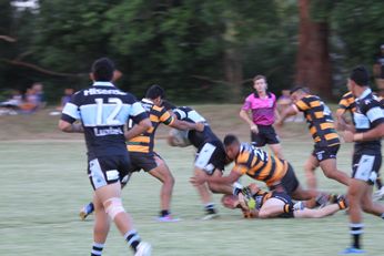 Balmain Tigers v Cronulla SHARKS SG BallCup Trial (Photo : Jason C / OurFootyTeam.com) 