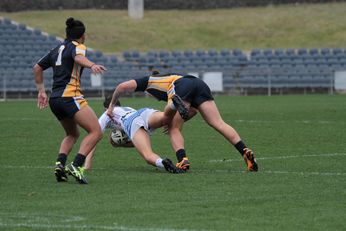 Westfields SHS v The Hills SHS - 2016 gio Schoolboy Cup NSW Grand Final Action (Photo : :steve montgomery / OurFootyTeam.Com)