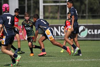 WESTFIELDS SHS v Illawarra SHS u13s Michael Buettner Shield ACTION Photo's (Photo : steve montgomeryy / OurFootyMedia) 