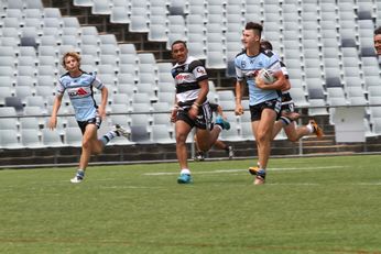 2016 NSWRL Harold Matthews Cup Rnd 1 Western Suburbs Magpies v Cronulla Sharks 2nd Half Action (Photo : steve montgomery / OurFootyTeam.com)