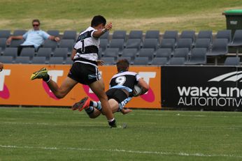 Blayke Brailey dives in for one of his 4 tries - Western Suburbs Magpies v Cronulla Sharks SG Ball Cup Rnd 1 - 1st Half Action (Photo : steve montgomery / OurFootyTeam.com)