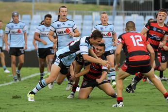2016 NSWRL Harold Matthews Cup Rnd 5 Cronulla Sharks v Nth Sydney Bears 2nd Half Action (Photo : steve montgomery / OurFootyTeam.com)
