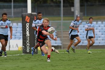 Harold Matthews Cup Rnd 5 Cronulla Sharks v Nth Sydney Bears 2nd Half Action (Photo : steve montgomery / OurFootyTeam.com)