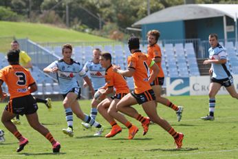 Cronulla Sharks v Balmain Tigers Harold Matthews Cup - Action (Photo : steve montgomery / OurFootyTeam.com)