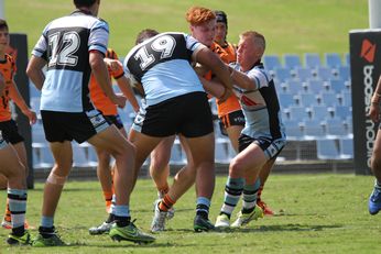 NSWRL Harold Matthews Cup 2016 Rnd 7 Cronulla Sharks v Manly SeaEaglesBalmain Tigers 1st Half Action (Photo : steve montgomery / OurFootyTeam.com)