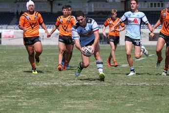 Cronulla Sharks v Balmain Tigers Harold Matthews Cup - Action (Photo : steve montgomery / OurFootyTeam.com)