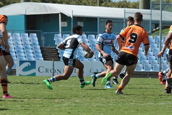 Cronulla Sharks v Balmain Tigers Harold Matthews SG Ball Cup - Action (Photo : steve montgomery / OurFootyTeam.com)