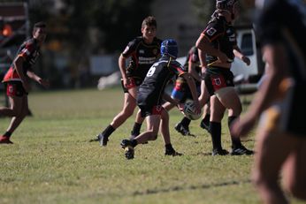 Illawarra SHS v Westfields SHS Chase Stanley Cup ACTION Photo's (Photo : Steve Montgomery / OurFootyTeam.com) 