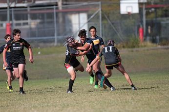 Illawarra SHS v Westfields SHS Chase Stanley Cup ACTION Photo's (Photo : Steve Montgomery / OurFootyTeam.com) 