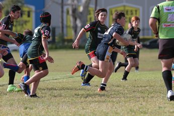 Westfields SHS v Illawarra SHS Michael Beuttner Shield ACTION Photo's (Photo : Steve Montgomery / OurFootyTeam.com) 