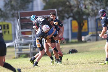 Westfields SHS v Illawarra SHS u13's Michael Beuttner Shield ACTION Photo's (Photo : Steve Montgomery / OurFootyTeam.com)