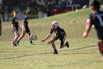 Westfields SHS v Illawarra SHS Year 7 Michael Beuttner Shield ACTION Photo's (Photo : Steve Montgomery / OurFootyTeam.com) 