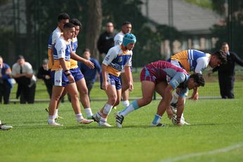 2017 gio Schoolboy Cup Round 2 Action - The Hills SHS v Patrician Brothers Blacktown(Photo : steve montgomery / OurFootyTeam.com) 