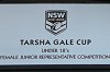 the tarsha gale cup