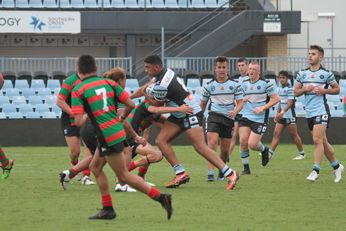 Cronulla - Sutherland Sharks v South Sydney Rabbitoh's Harold Matthews Cup Action (Photo : steve montgomery / OurFootyTeam.com)