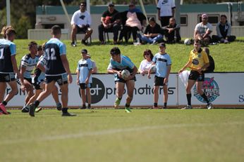 Western Sydney Academy of Sport v Cronulla Sharks v Penrith Panthers Harold Matthews Cup Action (Photo : steve montgomery / OurFootyTeam.com)