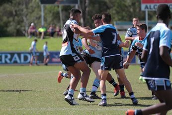 NSWRL Harold Matthews Cup Rnd 9 WSAS Cronulla Sharks Action (Photo : steve montgomery / OurFootyTeam.com)