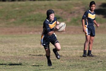 Endeavour SHS v Westfields SHS - u 13 nrl Schoolboy Cup Action (Photo : steve montgomery / OurFootyTeam.com) 
