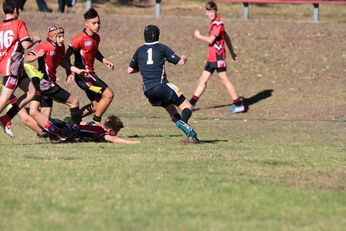 Endeavour SHS v Westfields SHS - u 13 nrl Schoolboy Cup Action (Photo : steve montgomery / OurFootyTeam.com) 