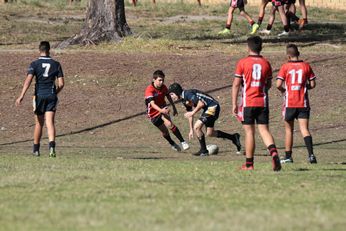 Endeavour SHS v Westfields SHS - nrl U13s Schoolboy Cup Action (Photo : steve montgomery / OurFootyTeam.com) 