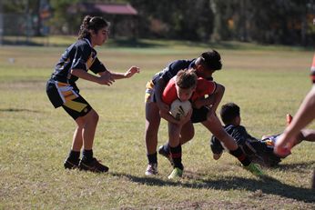 Under 13s 2018 nrl Schoolboy Cup - Westfields SHS v Endeavour SHS - nrl Schoolboy Cup Action (Photo : steve montgomery / OurFootyTeam.com)