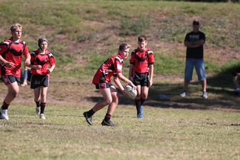2018 Buckley Shield - Westfields SHS v Endeavour SHS - Action (Photo : steve montgomery / OurFootyTeam.com)