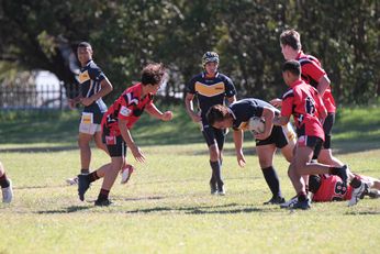 Endeavour SHS v Westfields SHS - Buckley Shield Action (Photo : steve montgomery / OurFootyTeam.com) 