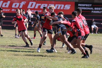 Endeavour SHS v Westfields SHS - Buckley Shield Action (Photo : steve montgomery / OurFootyTeam.com) 