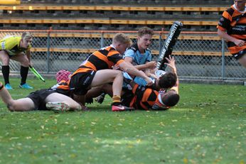 NSWRL Harold Matthews Cup Elimination Final Rnd 10 SHARKS v Tigers 16s Action (Photo : steve montgomery / OurFootyTeam.com)