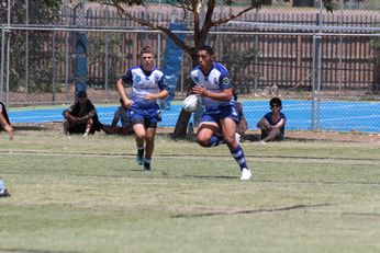 Cronulla - Sutherland Sharks v Canterbury-Bankstown BULLDOGSHarold Matthews Cup Rnd 2 Action (Photo : steve montgomery / OurFootyTeam.com)