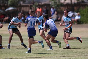 NSWRL Harold Matthews Cup Rnd 2 Cronulla SHARKS v Canterbury-Bankstown BULLDOGS U 16s Action (Photo : steve montgomery / OurFootyTeam.com)