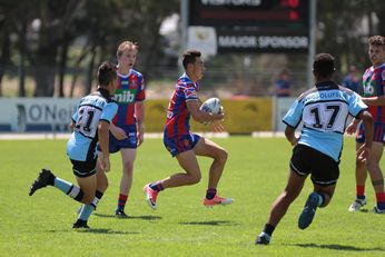 Newcastle Knights v Cronulla Sharks U16 Harold Matthews Action (Photo : steve montgomery / OurFootyTeam.com)