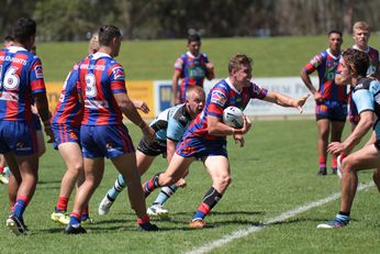 Newcastle Knights v Cronulla Sharks SG Ball Cup Action (Photo : steve montgomery / OurFootyTeam.com)