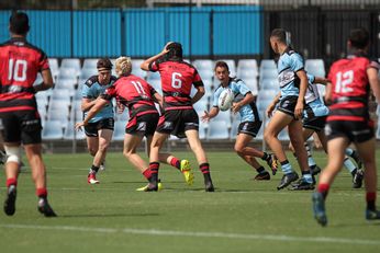 NSWRL Harold Matthews Cup Rnd 7 Cronulla - Sutherland Sharks v North Sydney Bears Action (Photo : steve montgomery / OurFootyTeam.com)
