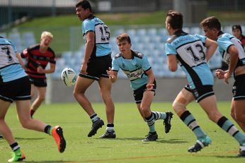 North Sydney Bears u16s Harold Matthews Cup v Cronulla SHARKS Action (Photo : steve montgomery / OurFootyTeam.com)