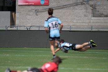 North Sydney Bears u16s Harold Matthews Cup v Cronulla SHARKS Action (Photo : steve montgomery / OurFootyTeam.com)