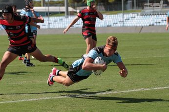 North Sydney Bears u168s SG Ball Cup v Cronulla SHARKS Action (Photo : steve montgomery / OurFootyTeam.com)