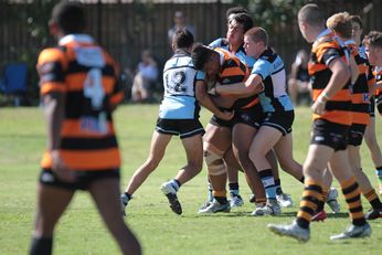 Cronulla SHARKS v Balmain Tigers Harold Matthews Cup U 16s Action (Photo : steve montgomery / OurFootyTeam.com)