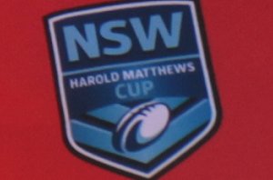 mattys cup logo