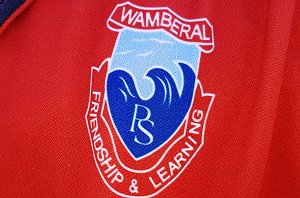 Wamberal PS rugby league logo