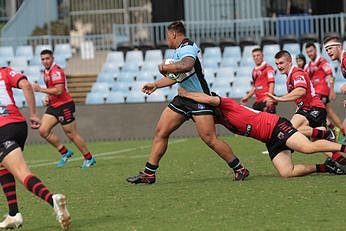 Cronulla - Sutherland Sharks u20s v North Sydney Bears Rnd 2 Action (Photo : steve montgomery / OurFootyTeam.com)