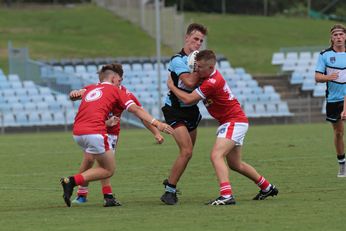 NSWRL Illawarra Steelers v Cronulla Sharks Action (Photo : steve montgomery / OurFootyTeam.com)