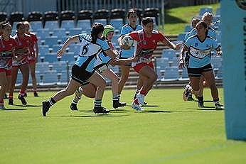 Illawarra Steelers v Cronulla - Sutherland Sharks Tarsha Gale Cup Action (Photo : steve montgomery / OurFootyTeam.com)