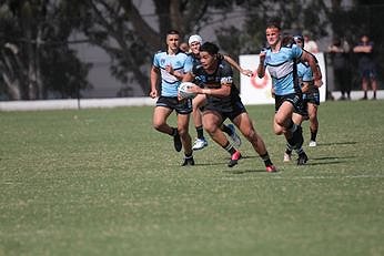 Cronulla SHARKS Harold Matthews Cup Elimination Finals v Penrith Panthers TeamPhoto (Photo : steve montgomery / OurFootyTeam.com)