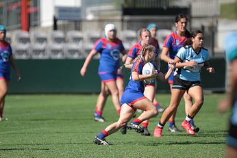 2019 Tarsha Gale Cup Semi Finals Newcastle Knights v Sharks Action (Photo : steve montgomery / OurFootyTeam.com)