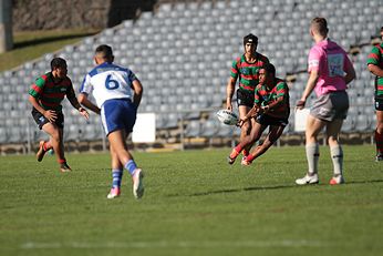 South Sydney RABBBITOH's v Canterbury-Bankstown BULLDOGS Harold Matthews Cup Preliminary Finals (Photo : Steve Montgomery / OurFootyTeam.com)